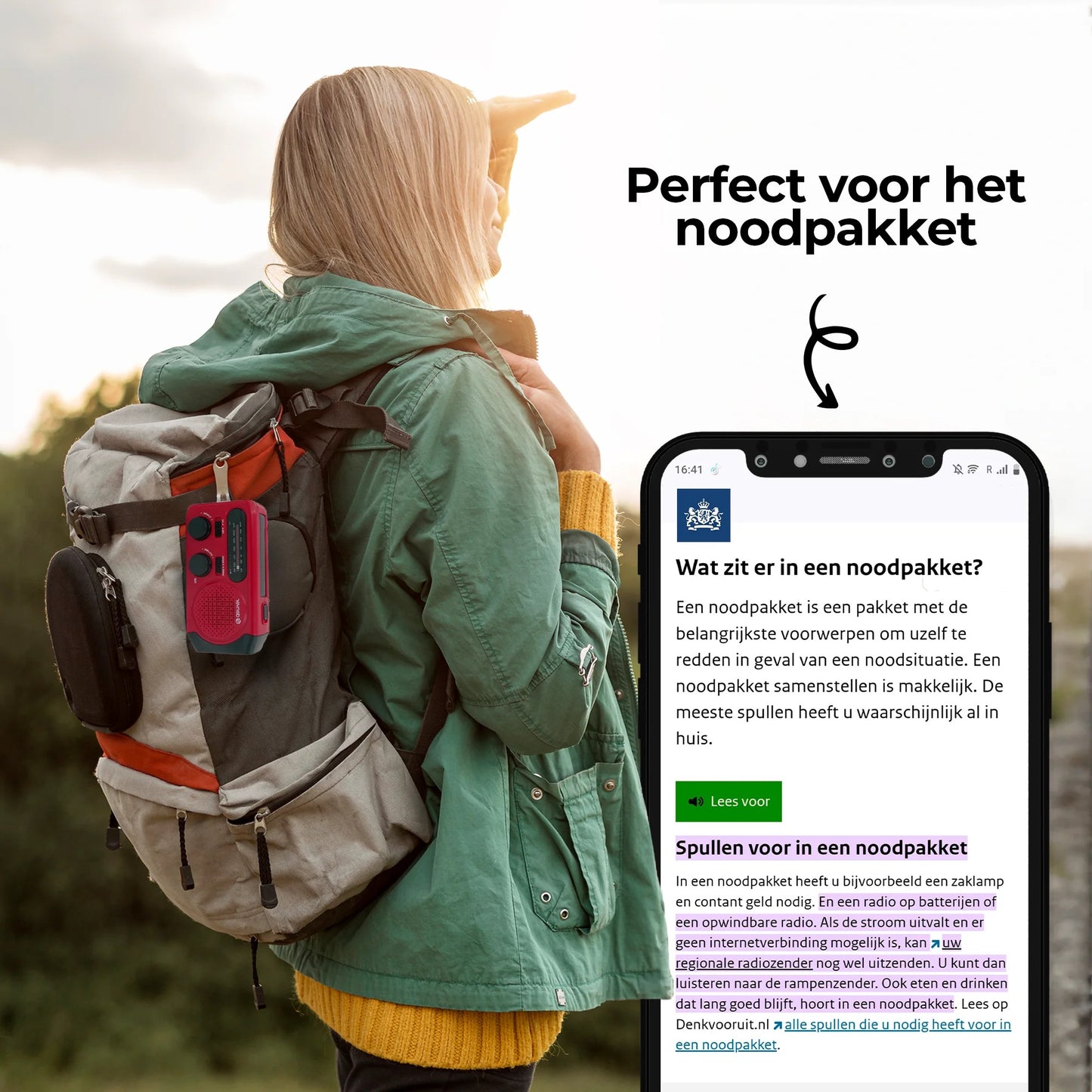 Denver SCR-2010 Radio